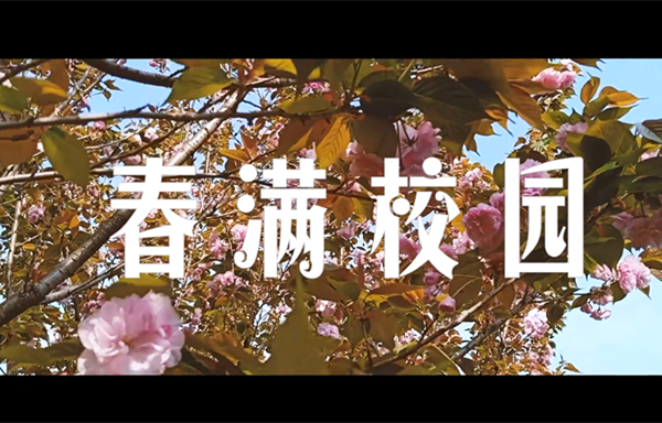 微信图片_20190515062534_副本.png